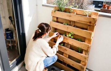 Balcon Vert : agriculture urbaine verticale en micro espace
