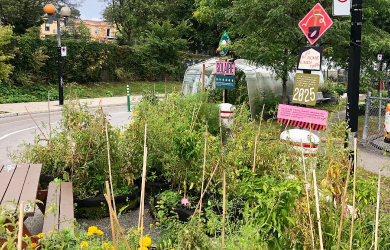 Balade - agriculture urbaine