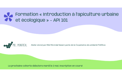 Formation - Introduction à l'apiculture urbaine et écologique - API 101