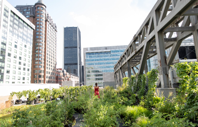 Conférence - Les fermes urbaines : changer la ville