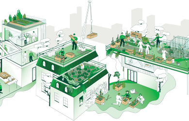Imaginer la ville nourricière de demain avec l’agriculture urbaine