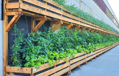 L'agriculture urbaine pour tous