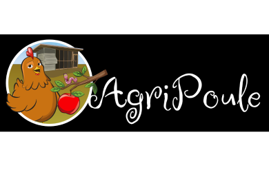 Formation - Physiologie de la ponte et alimentation adaptée à la poule pondeuse