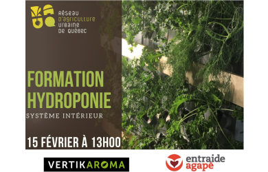 Formation en hydroponie intérieure