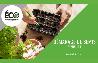 Démarrage de semis - semis 101