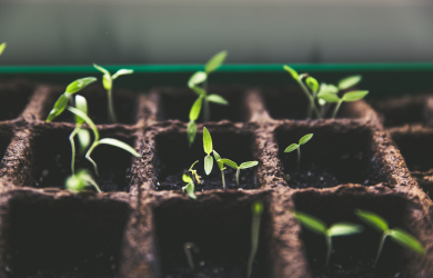 **ANNULÉ** Forum citoyen sur l'agriculture urbaine