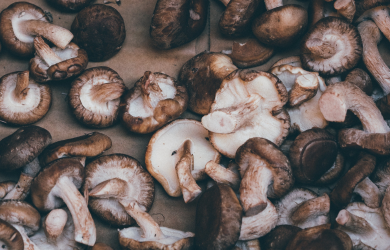 Grow Your Own Shiitake Mushrooms!