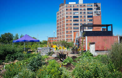 Université d’été en agriculture urbaine