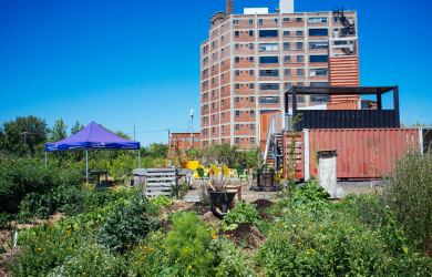L’accès aux espaces pour la production alimentaire en zone urbaine montréalaise