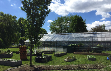 La fête des récoltes du Grand Potager