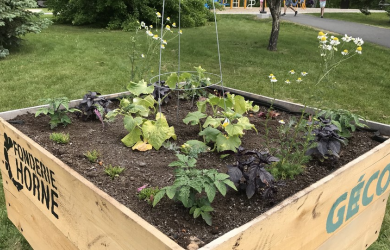 Cultivons notre région, un jardin à la fois!