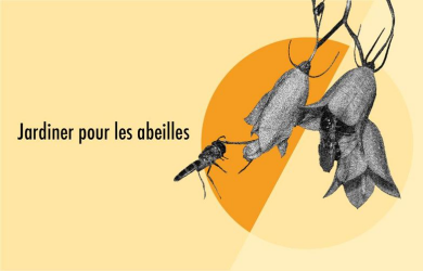 Jardiner pour les abeilles