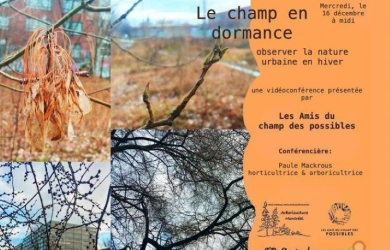 Le champ de dormance