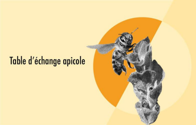 Table d’échange apicole - Édition Mois de l'abeille