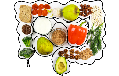 Symposium sur la thématique des systèmes alimentaires, à ne pas manquer en août ! 