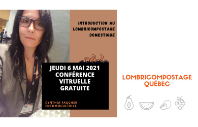 Introduction au lombricompostage domestique 