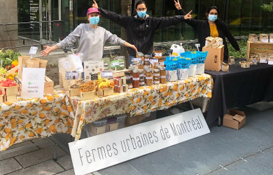 Des marchés éphémères de l’agriculture urbaine au Centre-Ville de Montréal : tous les jeudis de septembre