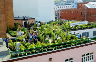 Tisser des liens entre les acteurs de l’agriculture urbaine et le milieu de la recherche : vers des initiatives structurantes