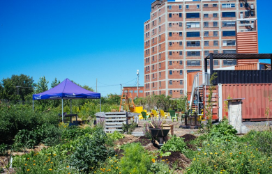 Forum sur l’agriculture urbaine
