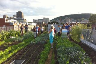 Montréal Une Ville De Formations Diversifiées En Agriculture