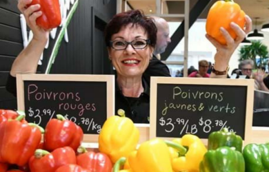 Appel d’intérêt pour un centre éducatif en agriculture urbaine dans la Ville de Québec