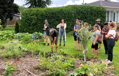 Travailler en agriculture urbaine