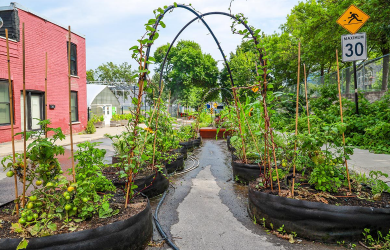 La Stratégie d’agriculture urbaine de Montréal se démarque aux Green City Awards