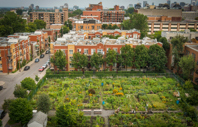Ouverture graduelle des jardins communautaires à Montréal à partir du 4 mai