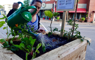 Rimouski aménage des jardins libres afin de favoriser l’autonomie alimentaire 