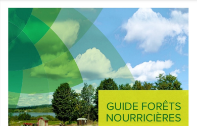 Nouvel outil pour la création et l’entretien de forêts nourricières