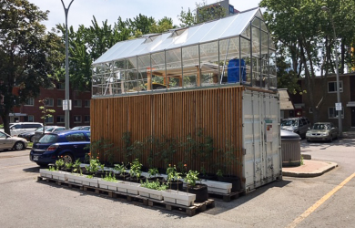 Changer la réglementation des villes pour favoriser l’agriculture urbaine