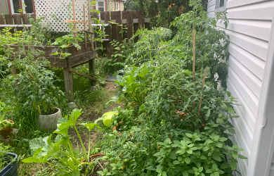 Espace pour la vie vous invite à faire certifier votre jardin