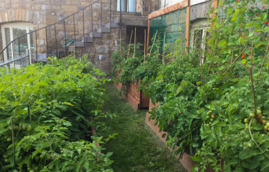 Les Jardins Pédagogiques Au Québec De Lécole Primaire Au