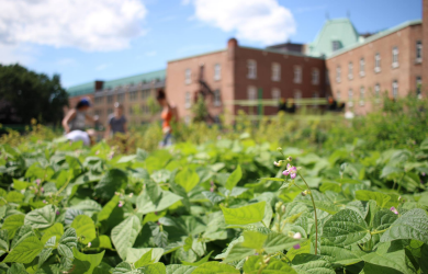 Québec, nouvelle ville partenaire sur la plateforme Cultive ta ville!