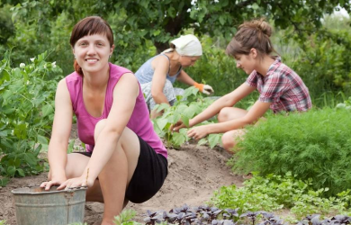 La Ville de Longueuil vient de dévoiler sa politique en agriculture urbaine