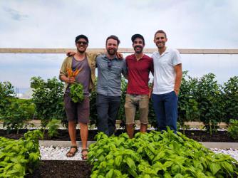 Montréal héberge maintenant le plus gros toit vert comestible au Canada!