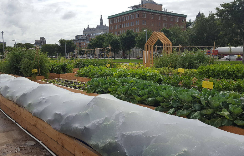 Plateau de service - Bois clair - Les Jardins de Gaïa