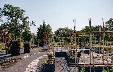 Jardin vertical et solidaire Fielding