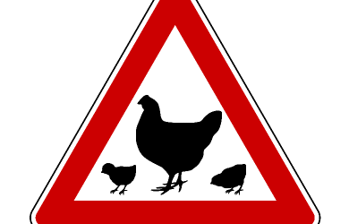 Un cadre réglementaire pour élever des poules en ville