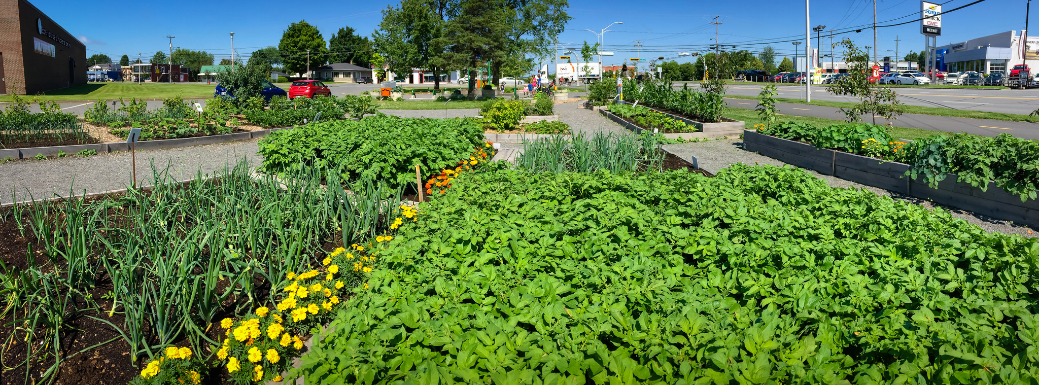 Jardin citoyen, Victoriaville