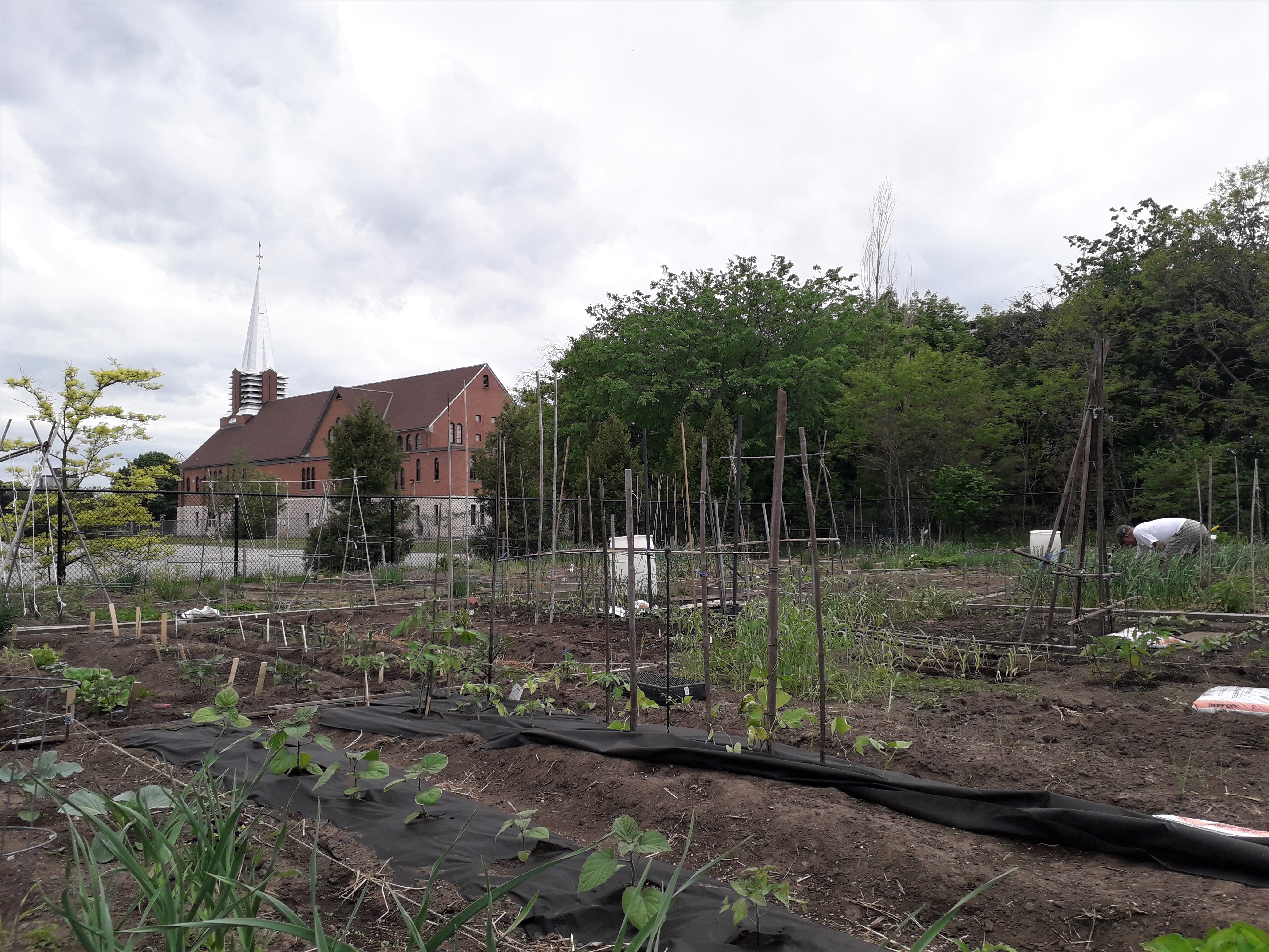 Jardin communautaire Reboul